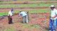land-measurement