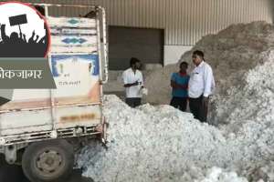 problems of cotton farmers in vidarbha