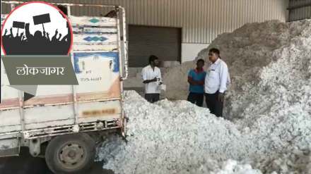 problems of cotton farmers in vidarbha