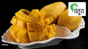 Mangifera indica, mango