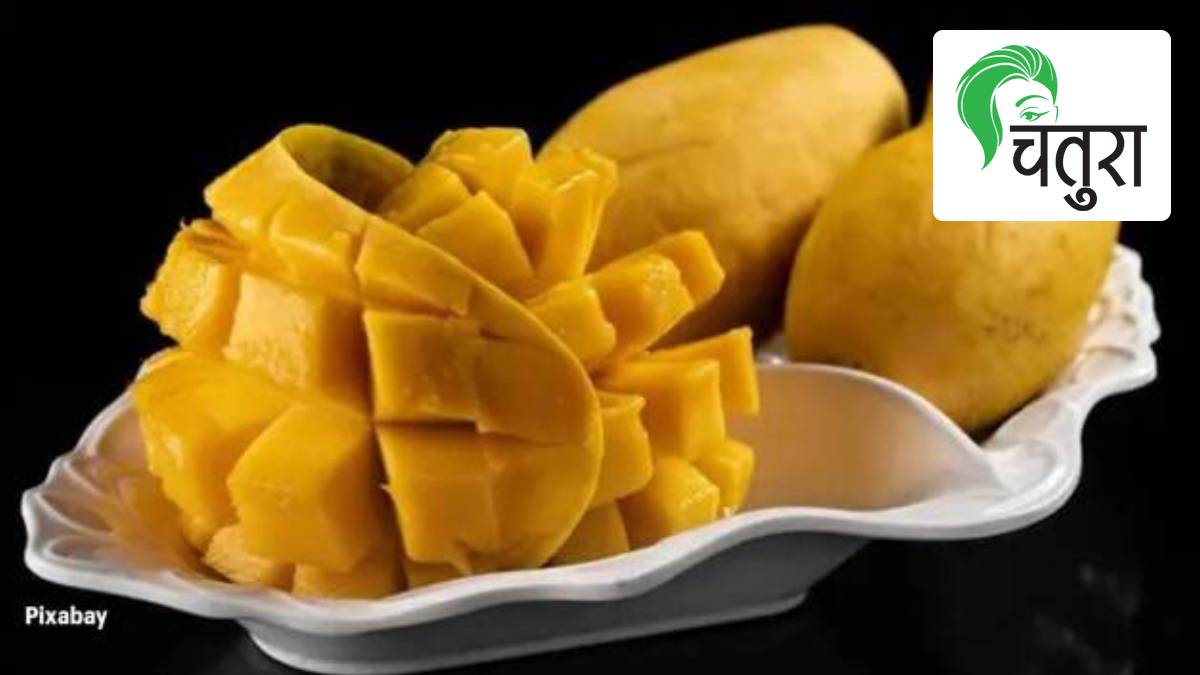 Mangifera indica, mango