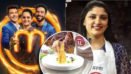 masterchef india troll