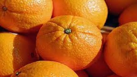 orange fruit