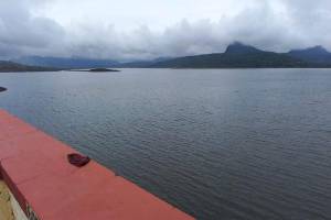 48 percent water in pavana dam