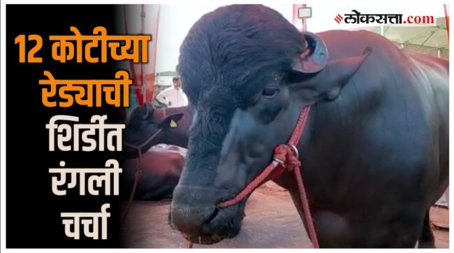 Mahapasudhan Export was the main attraction of Rs 12 crores bull