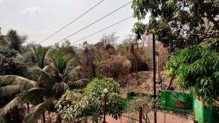 renul rock garden
