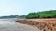 rocky shore