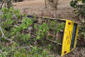 school bus overturns In jamner taluka