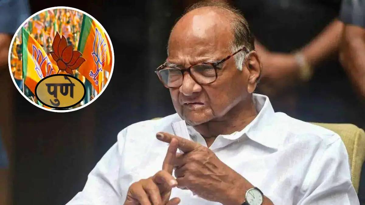 sharad pawar on kasba bypoll results