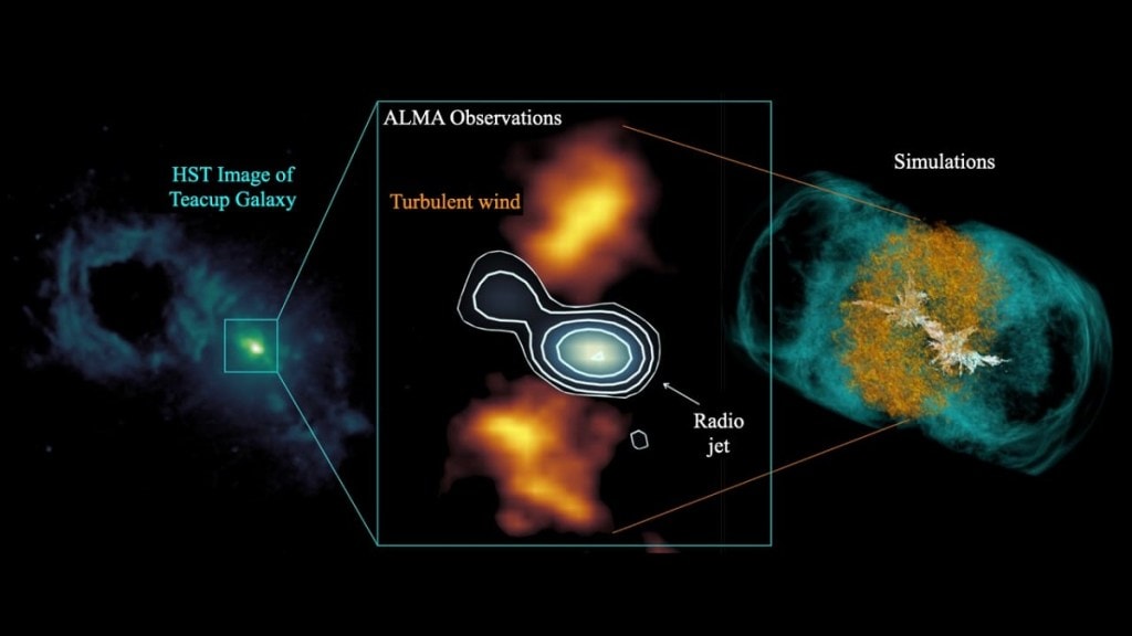 Galaxies shaped by jets black holes