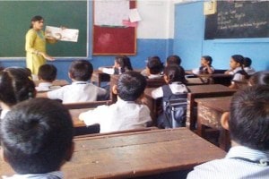 primary education director instructions employees