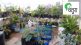 terrace garden