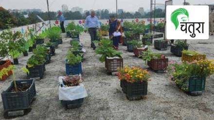 terrace gardening