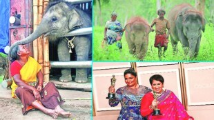 the elephant whisperers