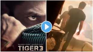 tiger 3 viral bts