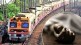 train accident