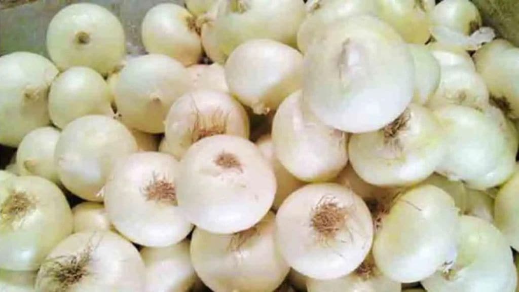 white onion