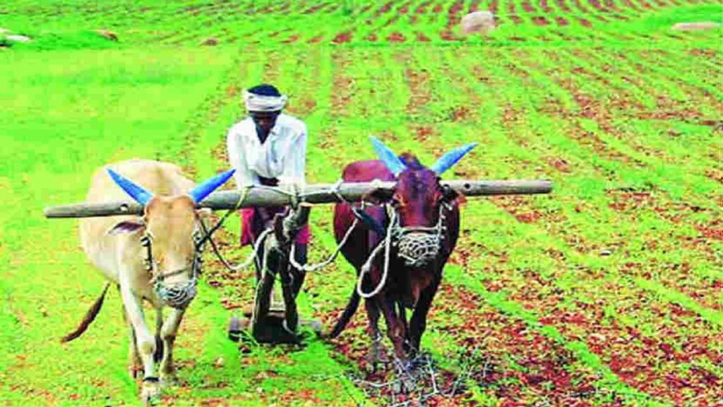 Dhule sale of fake seeds