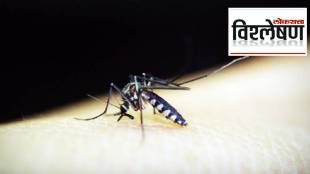 News About Malaria