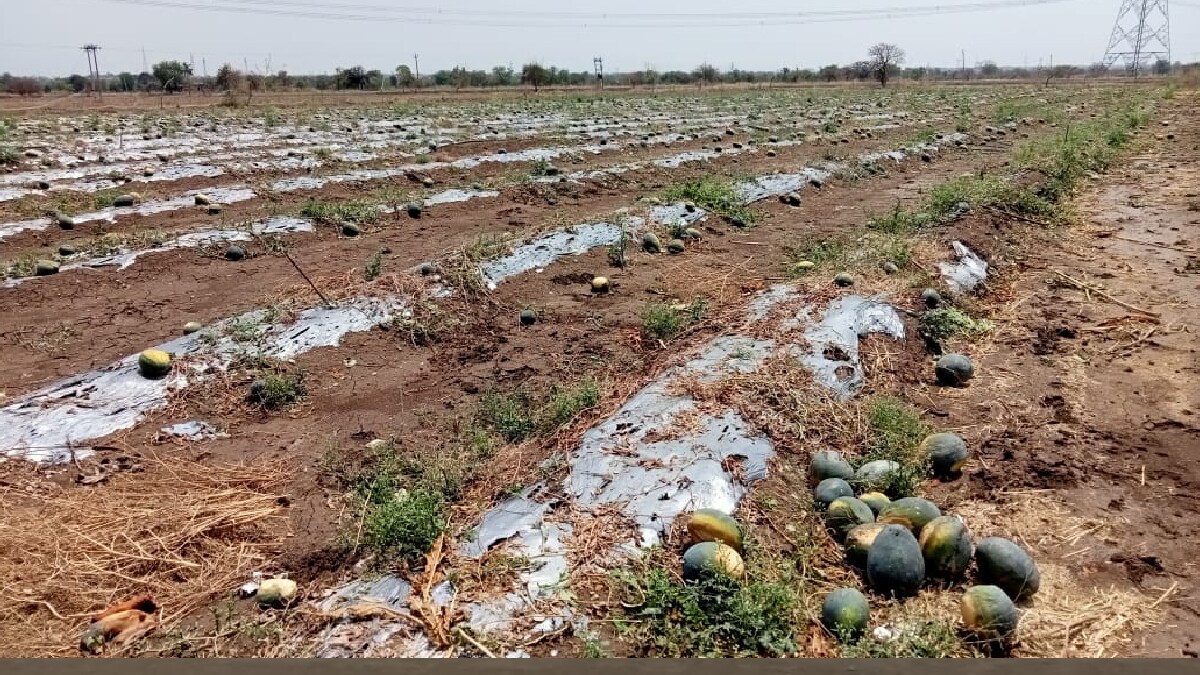BJP kisan aghadi, unseasonal rain, farmers, nashik
