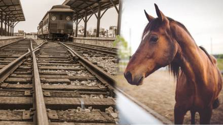 using horses to pull trains in india read indian railway old history
