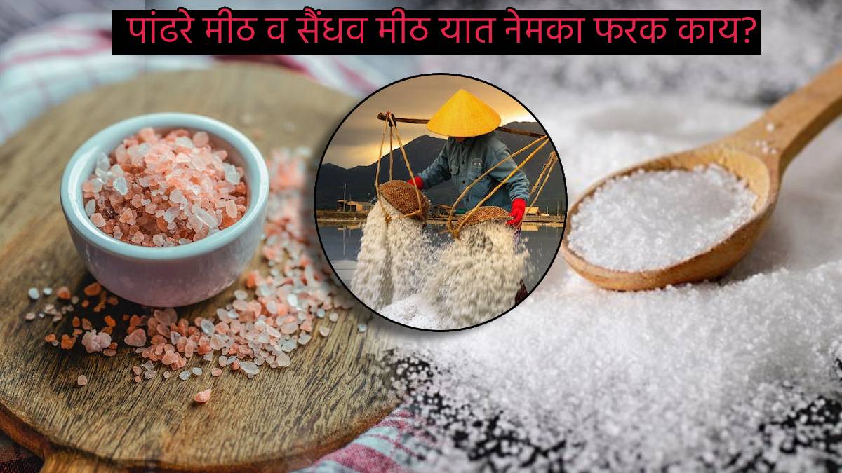 White Salt or Rock Salt How Much Namak Is Okay To eat in a day Expert
