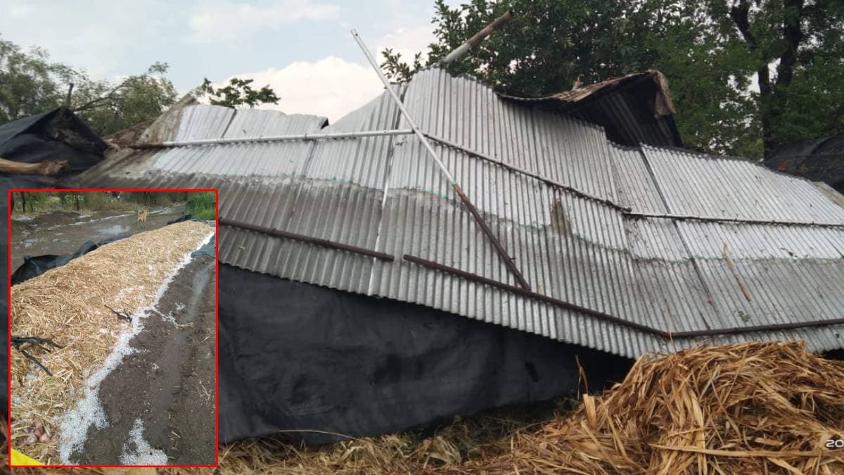 Hailstorm Baglan taluka