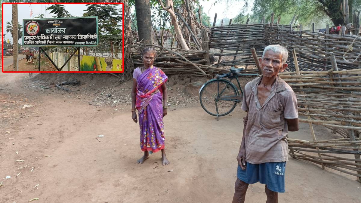 Scam cow distribution Bhamragad