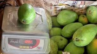 mango 1 kg Nagpur