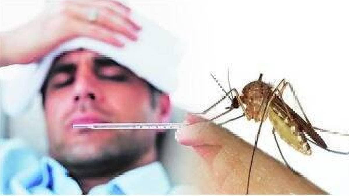world malaria day 2023 fever diet for malaria patients for fast recovery and What to Avoid