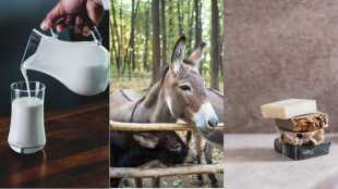 Donkey Milk Soap