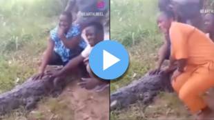 crocodiles attack video