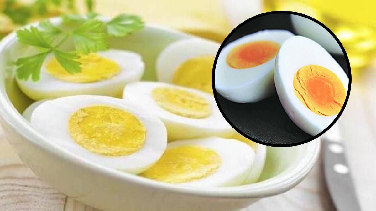 how many- egg should be eaten in one day