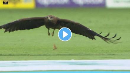 ipl 2023 LSG vs RCB match