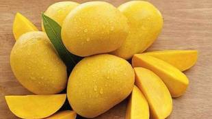 can you eat mangoes in diabetes