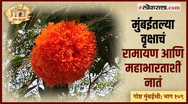 Gosht Mumbai Chi Ep 109 Mumbai Rare trees and flowers