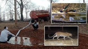 Wardha WildLife Sanctuary Summer 2023