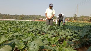 Salokha Yojana farmers Thane district