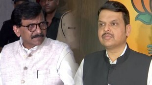 sanjay raut criticized devendra fadnavis