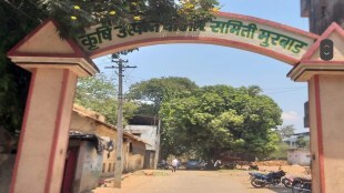 market committee elections Thane