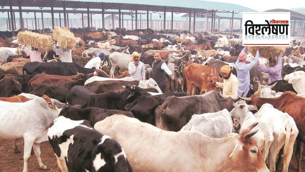 cattle farm methane emissions