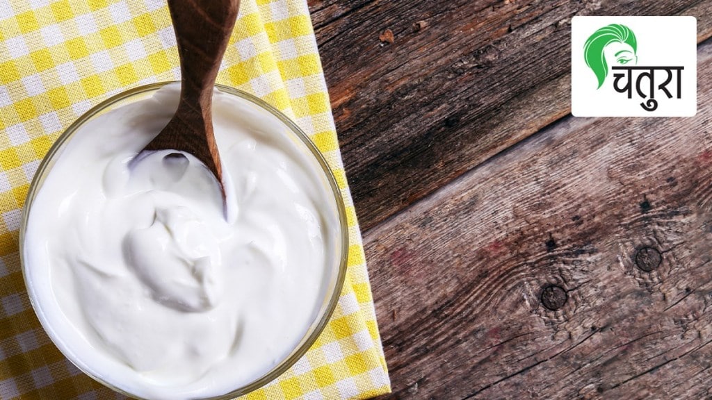 curd dahi