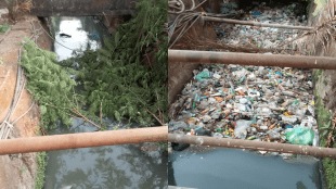 dombivali mahavitran tree branches drains garbage