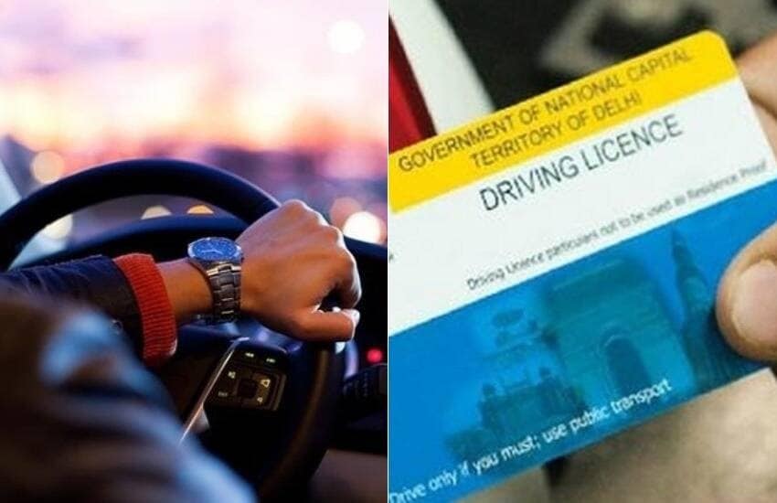 driving licence 12