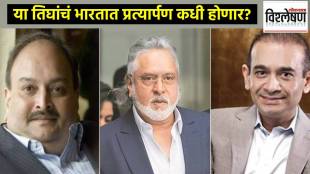 mehul choksi nirav modi vijay mallya