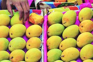 mango