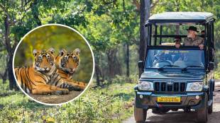 prime minister narendra modi bandipur tiger sighting