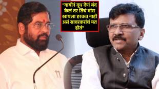 sanjay raut cm eknath shinde savarkar