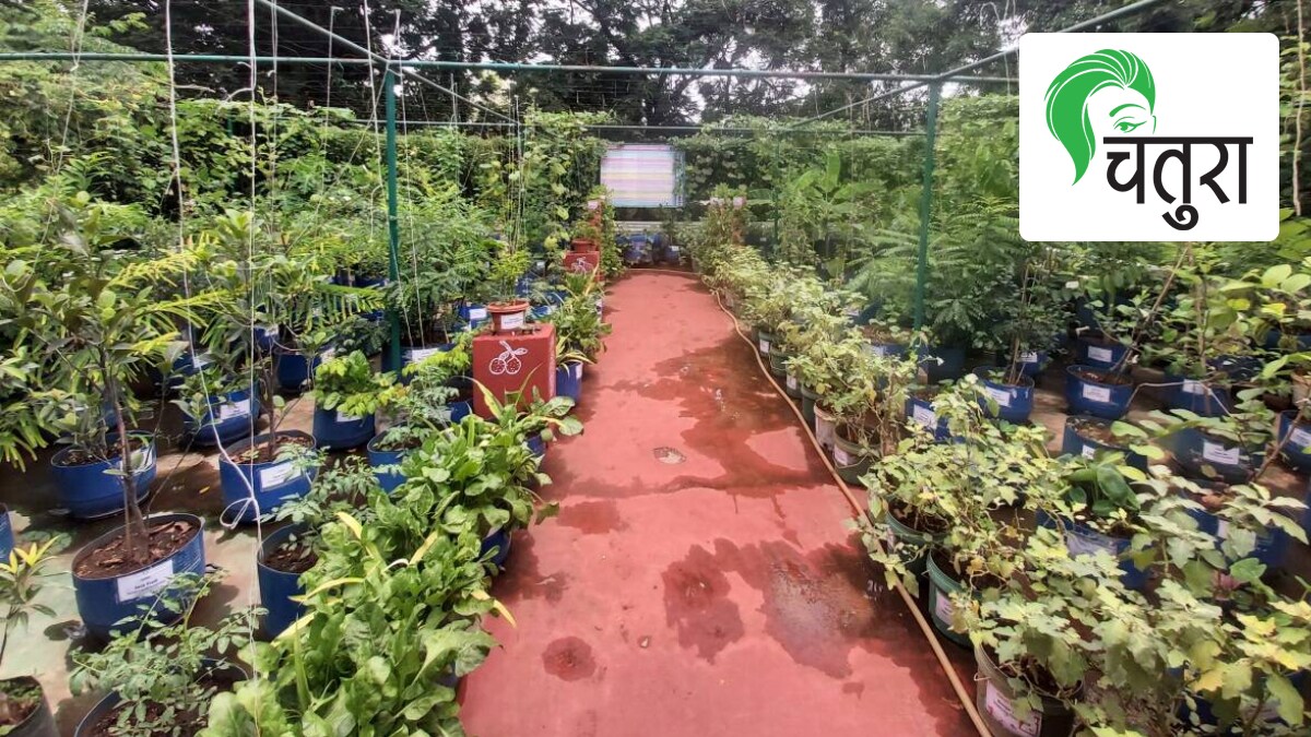 terrace garden