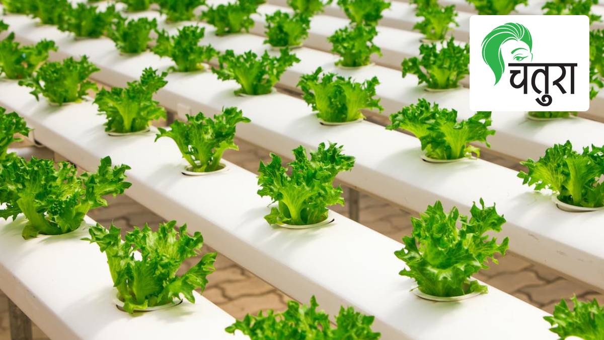 vertical farming pexels